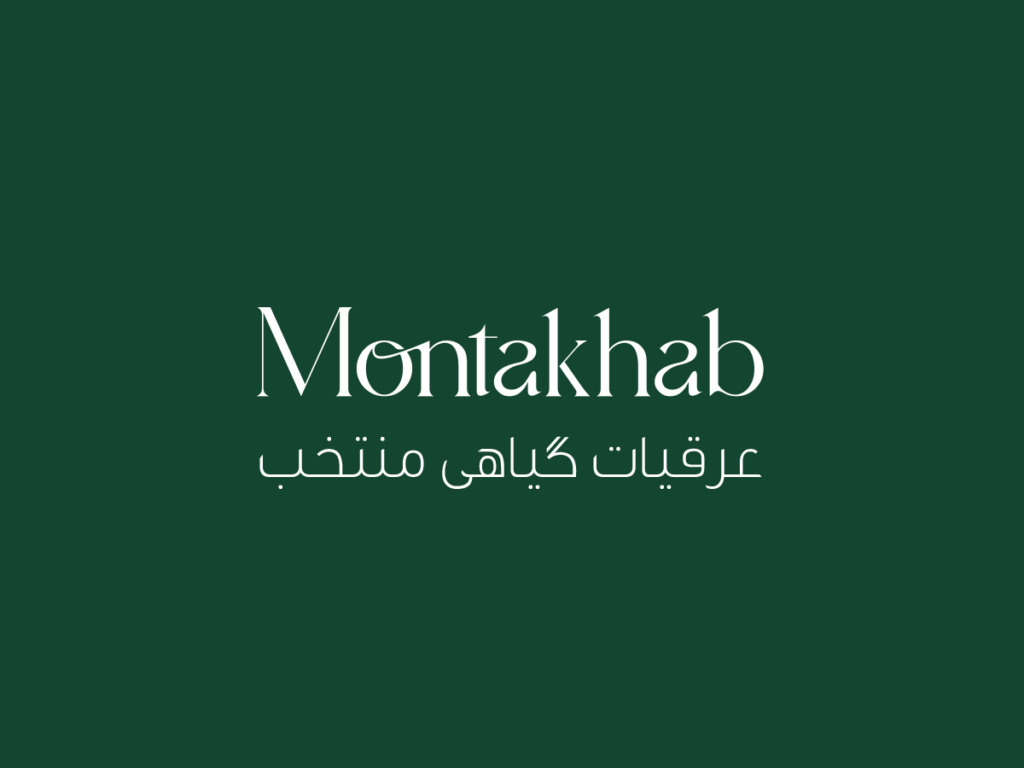 Logo 1